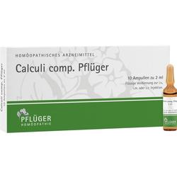 CALCULI COMP PFLUEGER