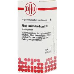 Eine Packung homöopathischer Streukügelchen von DHU mit Rhus toxicodendron C200.