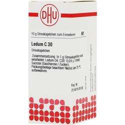Weiße Medikamentenverpackung mit rotem Logo und Aufschrift "Ledum C 30".