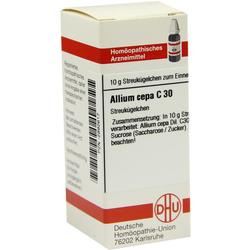 Eine Packung homöopathischer Streukügelchen mit der Aufschrift Allium cepa C 30.