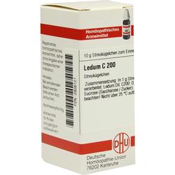 Weiße Verpackung mit der Aufschrift "Ledum C 200" für homöopathische Streukügelchen.